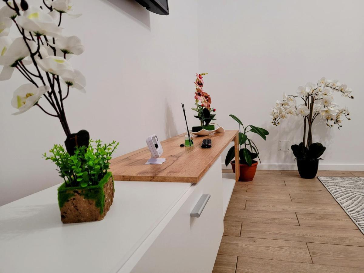Casa Feli Appartement Braşov Buitenkant foto